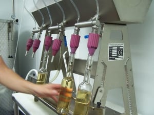 Clear tomato wine