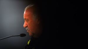 Vicente del Bosque