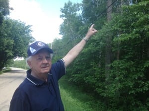 Squirrel damage