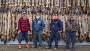 New Brunswick Trappers say they can help with a recent rabies scare