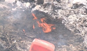 Garbage burning in Burgeo