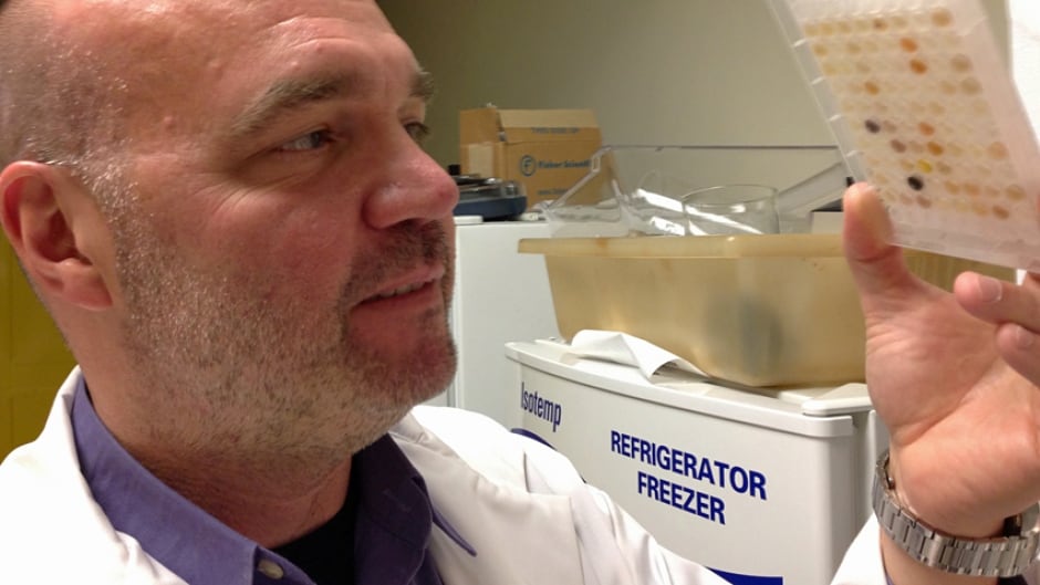 McMaster University scientist Gerry Wright is among the Canadians studying the MCR-1 antibiotic resistant gene.