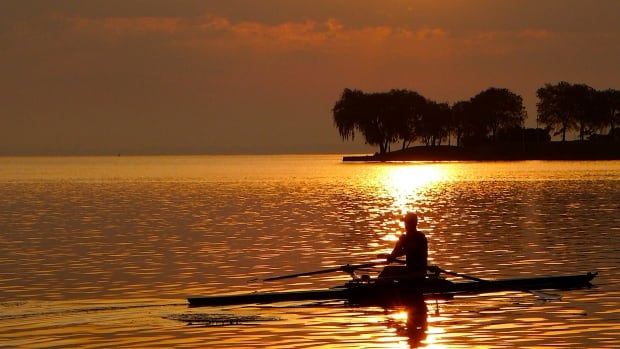 Rower on the water in Hamilton