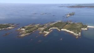 Coastal Conservation Eastern Shore