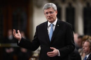 Stephen Harper