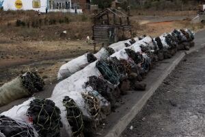 Kenya Environmental Crime