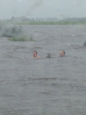 Flood fox