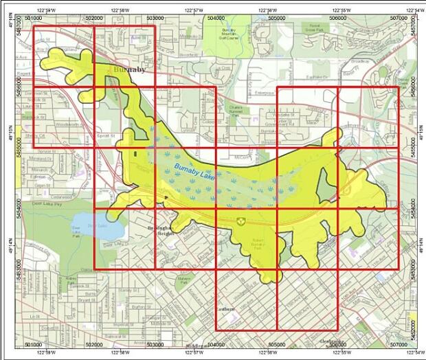 shrew-burnaby-lake.jpg