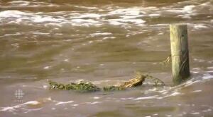 Flooding