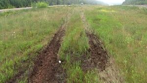 Tread marks left by RST tanker truck that crossed grassy median in Hampton