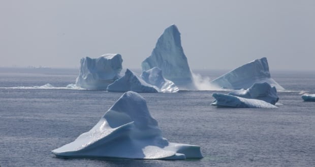 Iceberg splitting near Twillingate