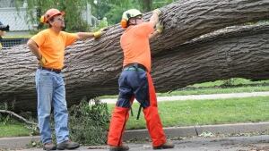 Assessing the damage