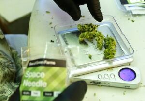 Rethinking Pot Washington