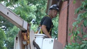 NB Power line worker
