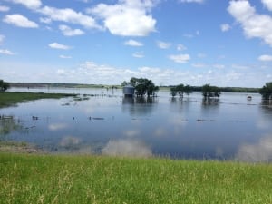 flooded farmland