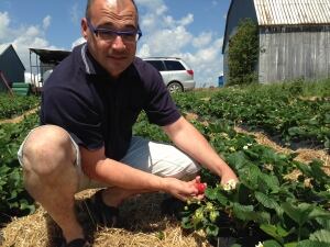 Guy Pouliot strawberry farmer