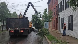 Saint John post-Arthur tree cleanup began on Tuesday