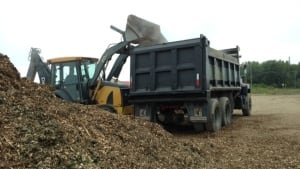 Fredericton crews dump wood waste from storm Arthur