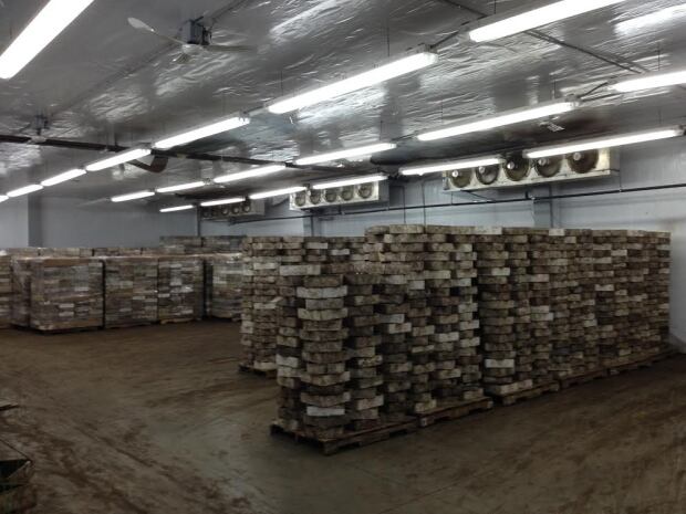 Worm Warehouse