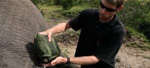 Jake Wall elephant app