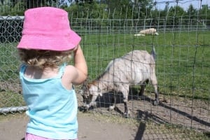 Family Day at Saskatoon Zoo