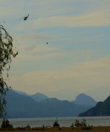 Harrison Lake Fire