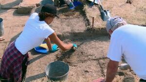 Archaeologist dig
