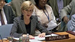 un-council.jpg