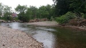 Trout Creek