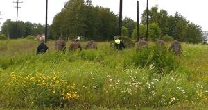 Ground search in Field St area
