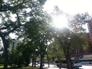 Sunny and hot