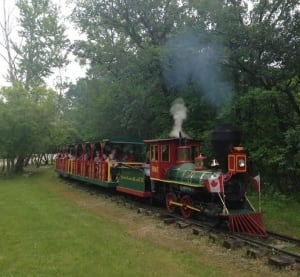 Miniature steam train