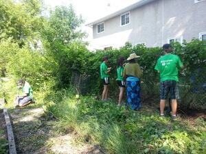 Green Wave Winnipeg