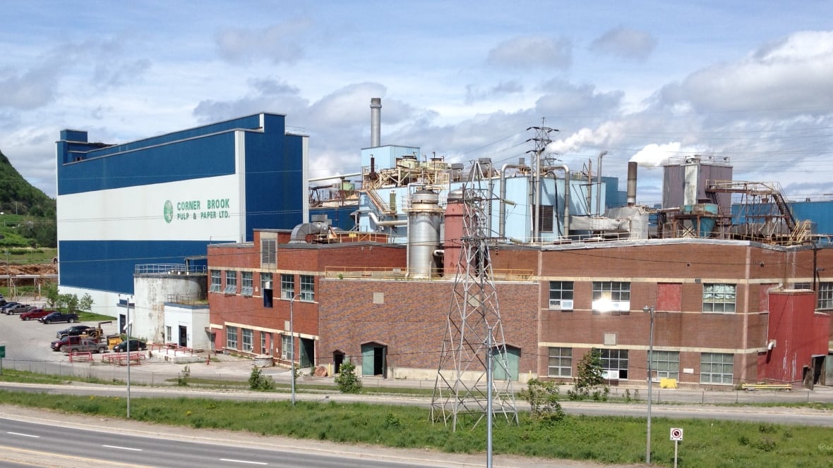 Low loonie a boost for Corner Brook newsprint mill Newfoundland