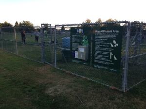 Dog Park 1