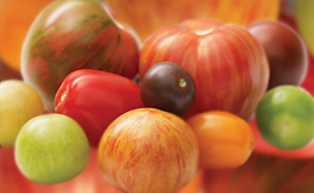 Tomato