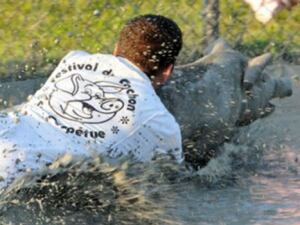 Pig wrestling