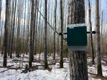 Owl recording device