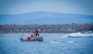 Whale Chase