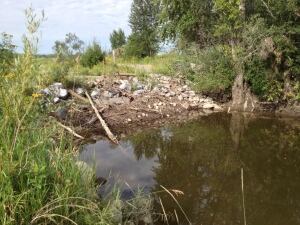 beaver dam