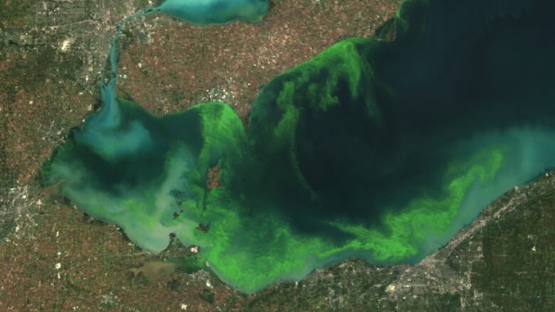 Environmental Defence unveils plan to fight Great Lakes algae