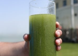 Blue-green algae Lake Erie Toledo Water Problems
