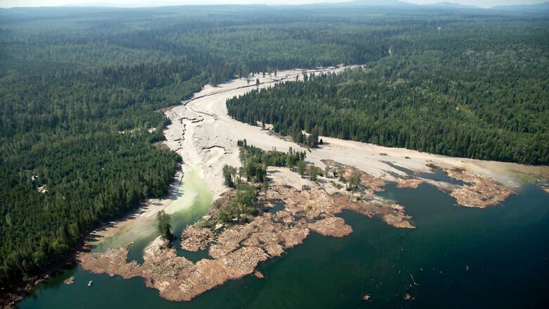 tailings 