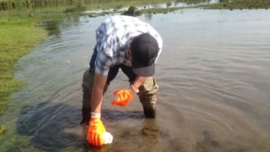 ACAP Saint John has been testing Marsh Creek since 1995.