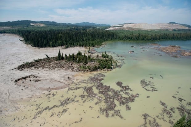 Tailings pond breach, Mount Polley mine