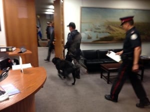 Bomb sniffing dogs enter the mayor's office.