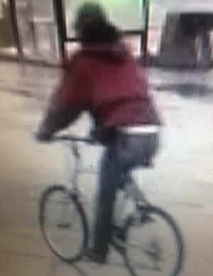 Cyclist suspect Whitehorse