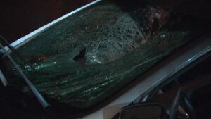 Pedestrian struck at Kent and Catherine streets