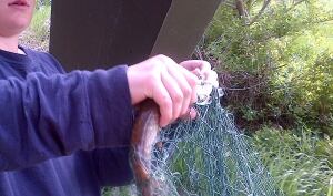 Fishing in Saskatchewan