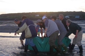 Dolphin rescue 2